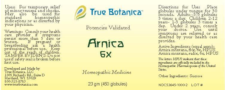 Arnica 6X