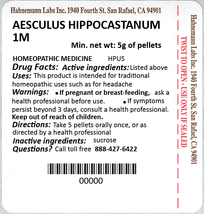 AESCULUS HIPPOCASTANUM 1M 5g