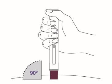 Step 8