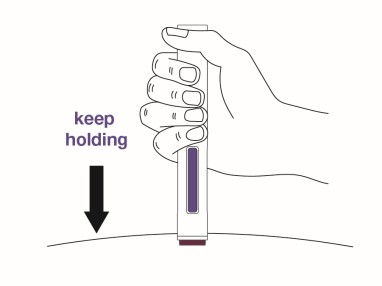 Step 11