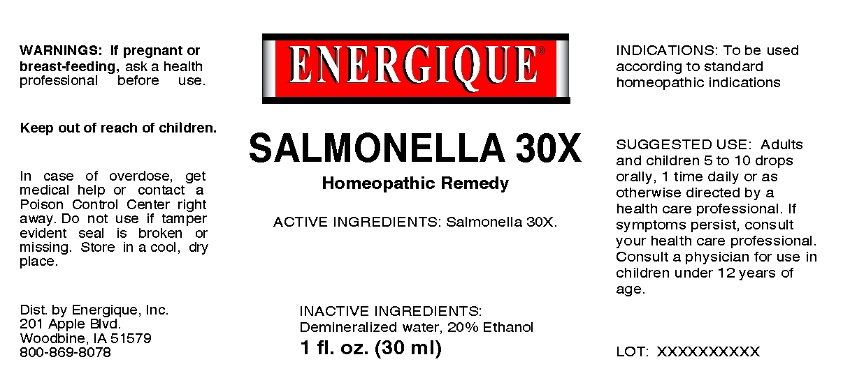 Salmonella 30X