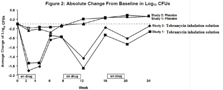 tobramycin-fig2.jpg