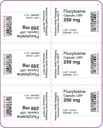 250 mg Flucytosine Capsule Blister.