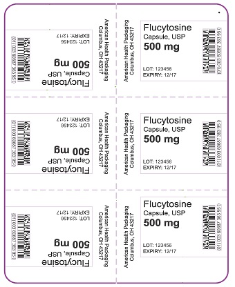 500 mg Flucytosine Capsule Blister