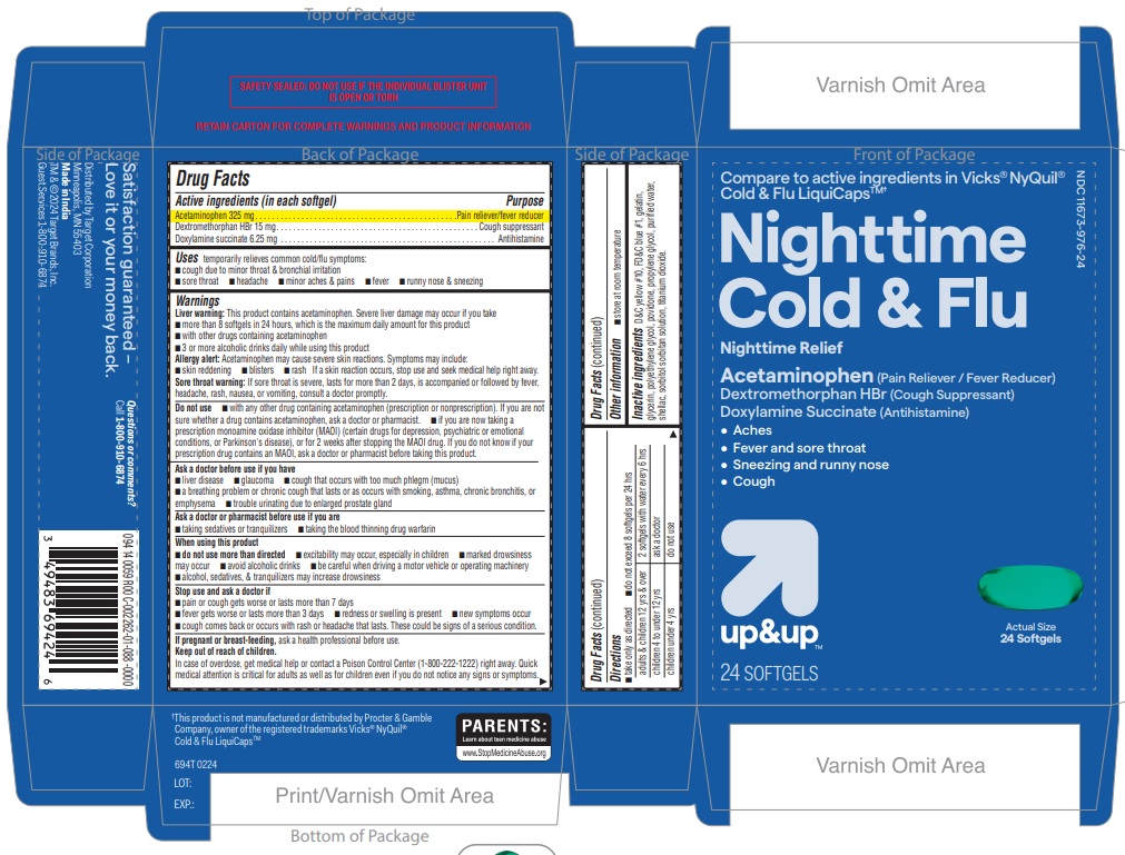 694R-target Nighttime Cold and Flu 24ct