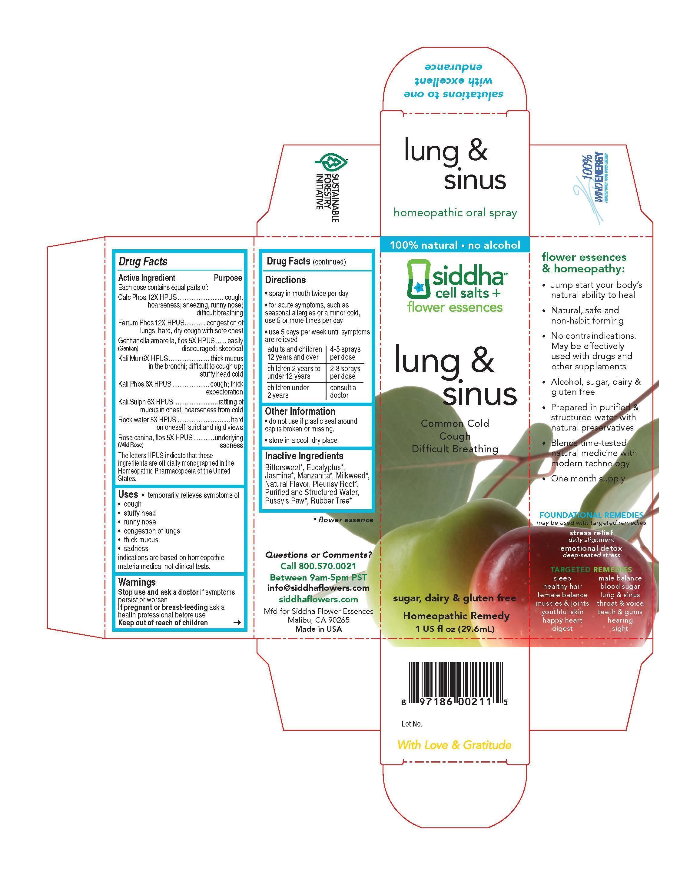 Lung And Sinus Carton