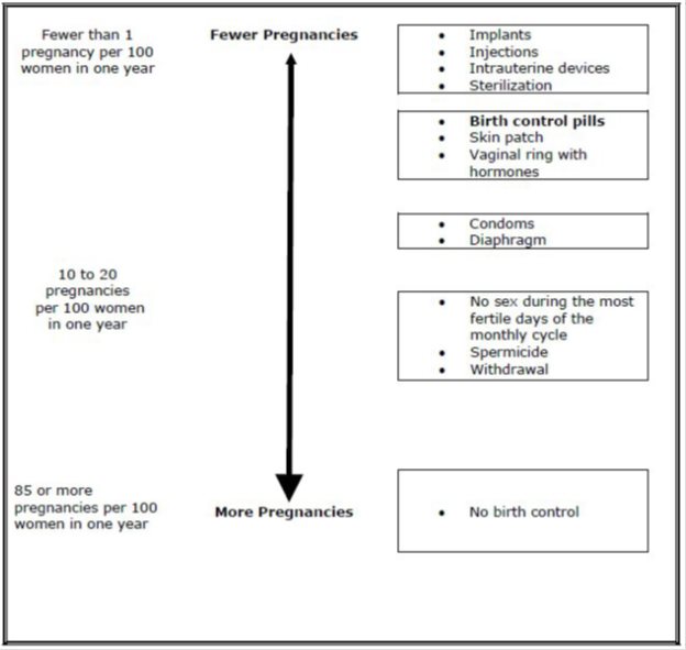 EE Structure