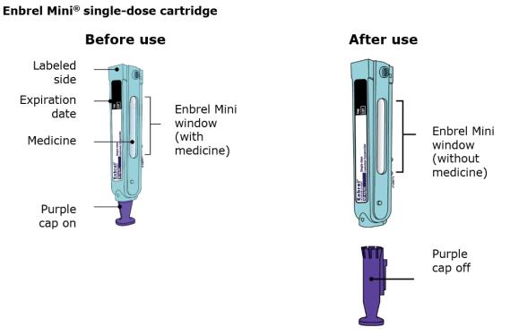 15.	With the needle still inserted in the Enbrel vial, check for air bubbles in the syringe.  Gently tap the syringe to make any air bubbles rise to the top of the syringe.  Slowly push the plunger up to remove the air bubbles.  If you push solution back into the vial, slowly pull back on the plunger to draw the correct amount of solution back into the syringe.