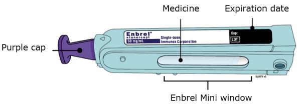 16.	Remove the syringe and needle from the Enbrel vial.  Keep the needle attached to the syringe and insert the 25 gauge needle straight down into the needle cover in the Enbrel dose tray. 