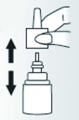 C1