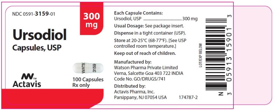 PRINCIPAL DISPLAY PANEL

NDC: <a href=/NDC/0591-3159-01>0591-3159-01</a>
Ursodiol
Capsules, USP
300 mg
100 Capsules
Rx Only

