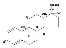 Prednisone Structure