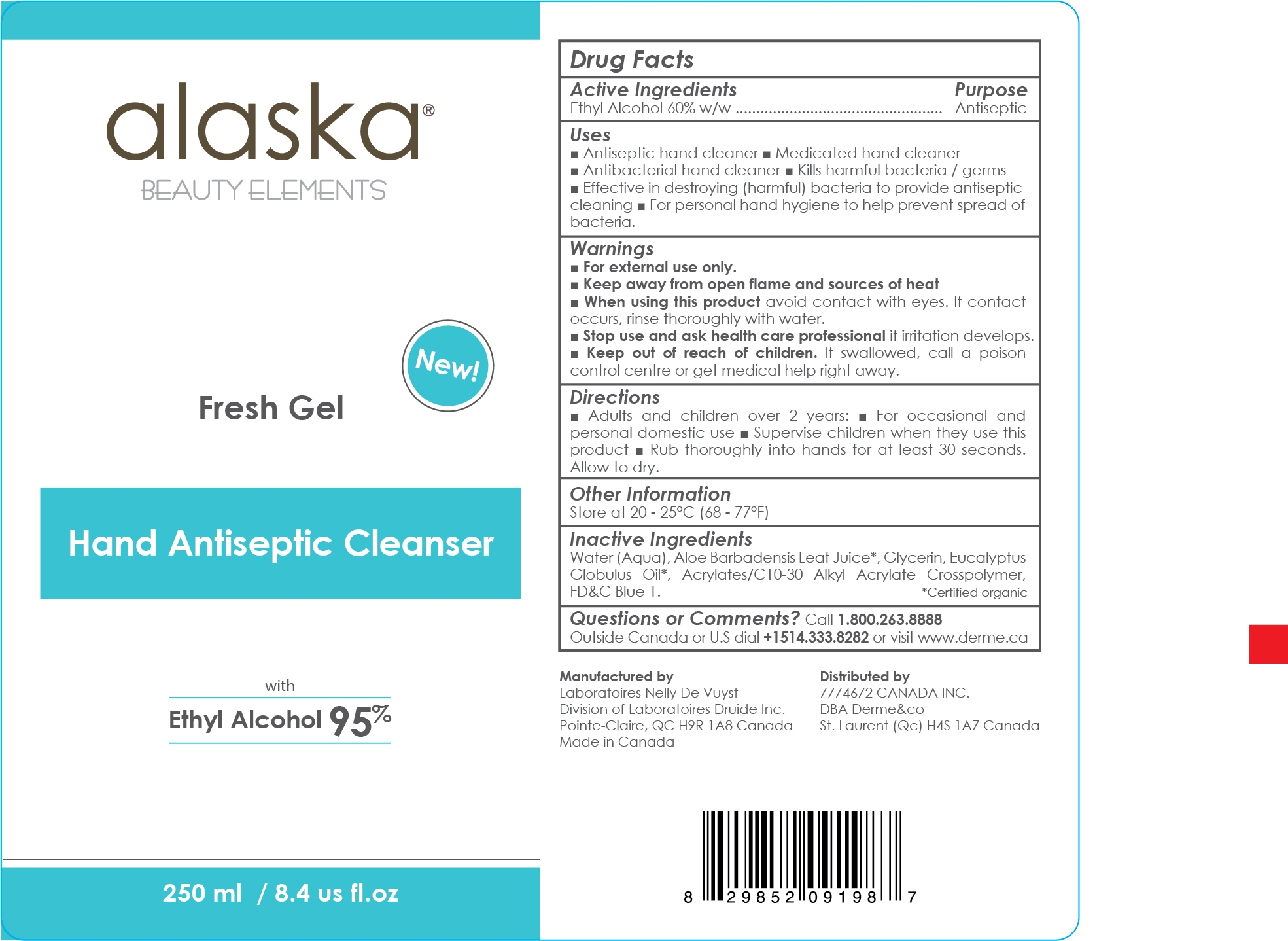 Alaska Beauty Elements Hand Sanitizer 250 mL