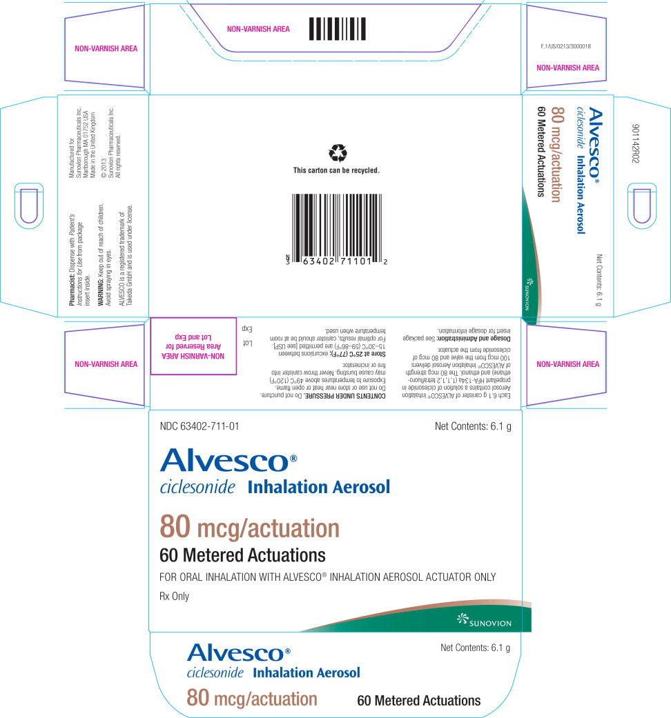 PACKAGE LABEL - PRINCIPAL DISPLAY PANEL - carton - 80mcg 60-count
