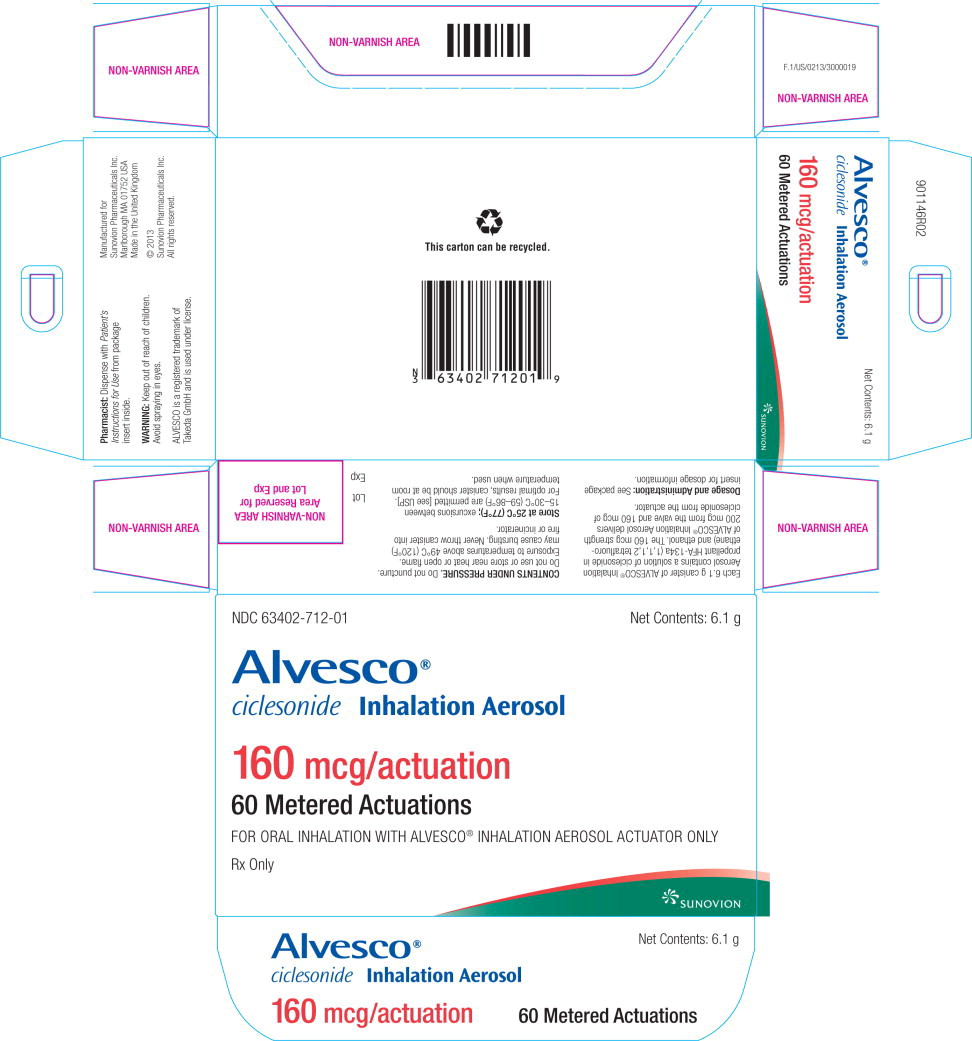 PACKAGE LABEL - PRINCIPAL DISPLAY PANEL - carton - 160mcg 60-count
