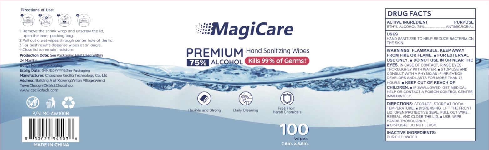 Magicare 75% Alcohol Wipes (80ct) | Hand Sanitizer Disinfecting Wipes