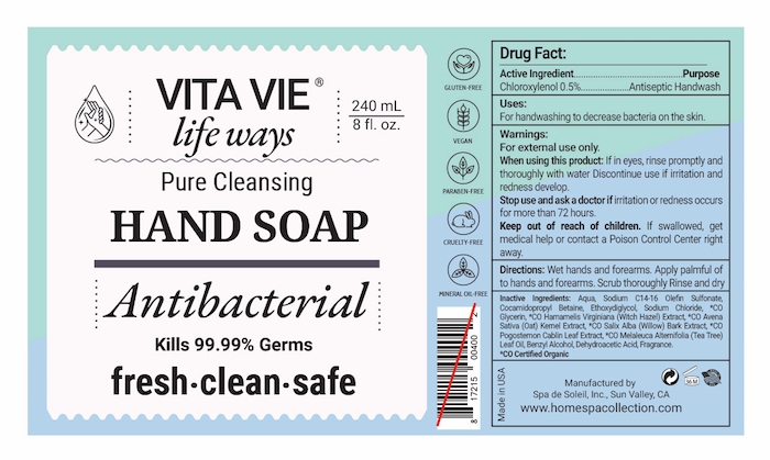 Vita Vie Antibacterial Hand Soap.jpg