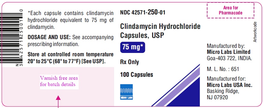 CLINDAMYCIN HYDROCHLORIDE capsule