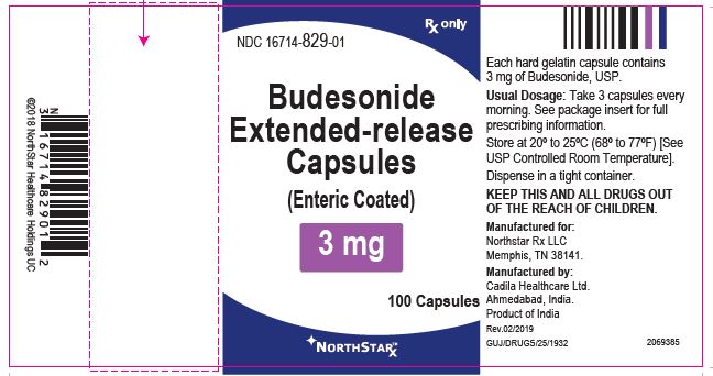 Budesonide Capsules label