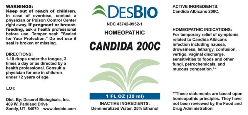 Candida 200C