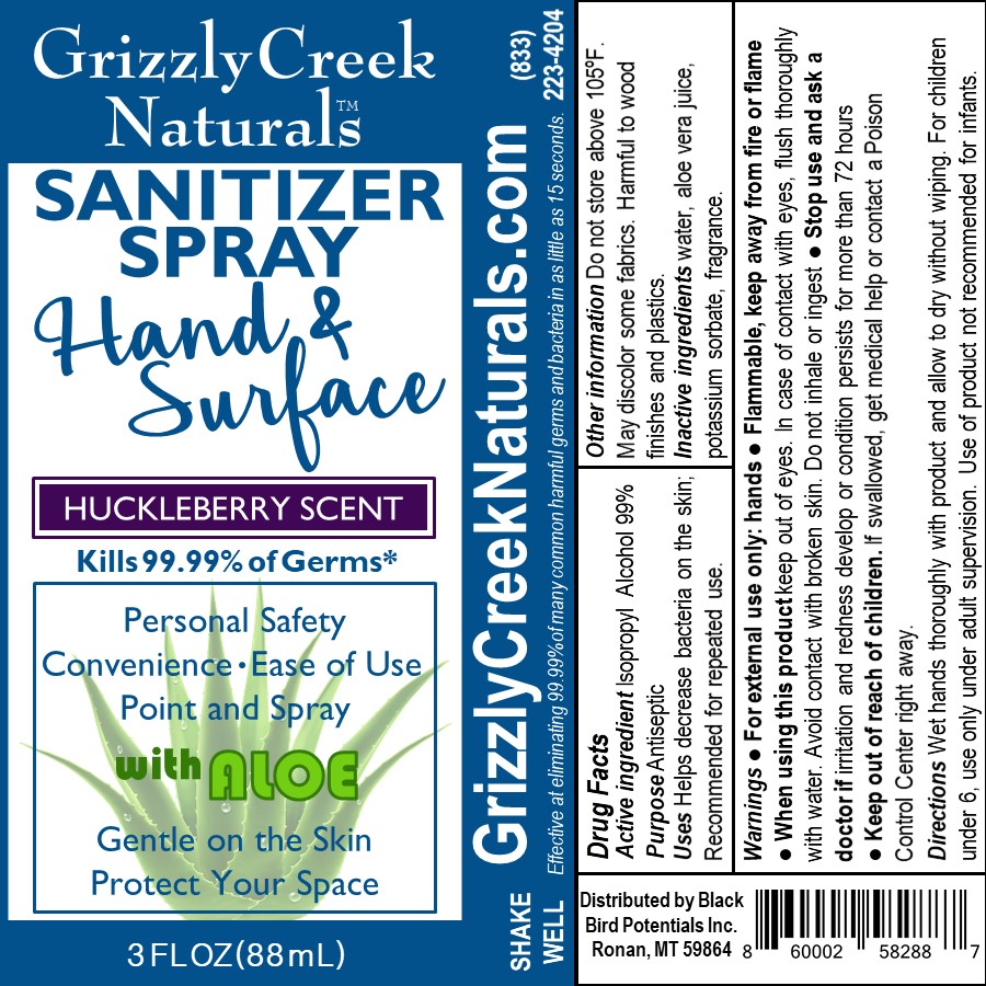 3oz sanitizer spray