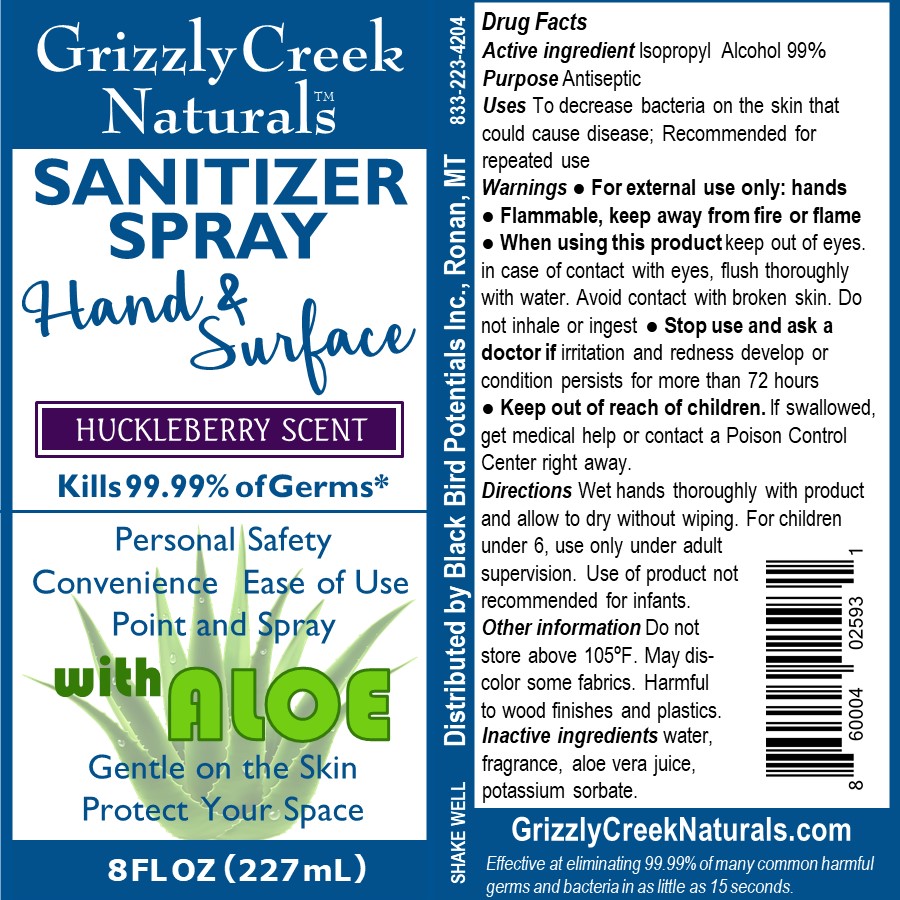 8oz sanitizer spray