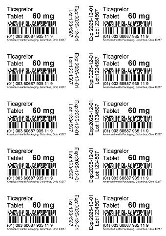 60 mg Ticagrelor Tablet Blister.jpg