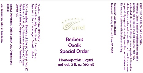 Berberis Oxalis Special Order