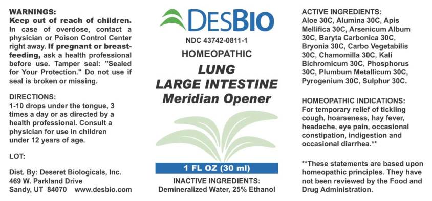 Lung Large Intestine MO
