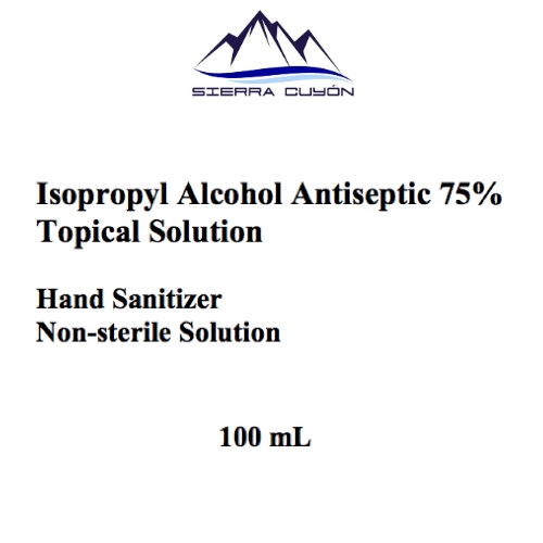 Hand Sanitizer 100mL Label
