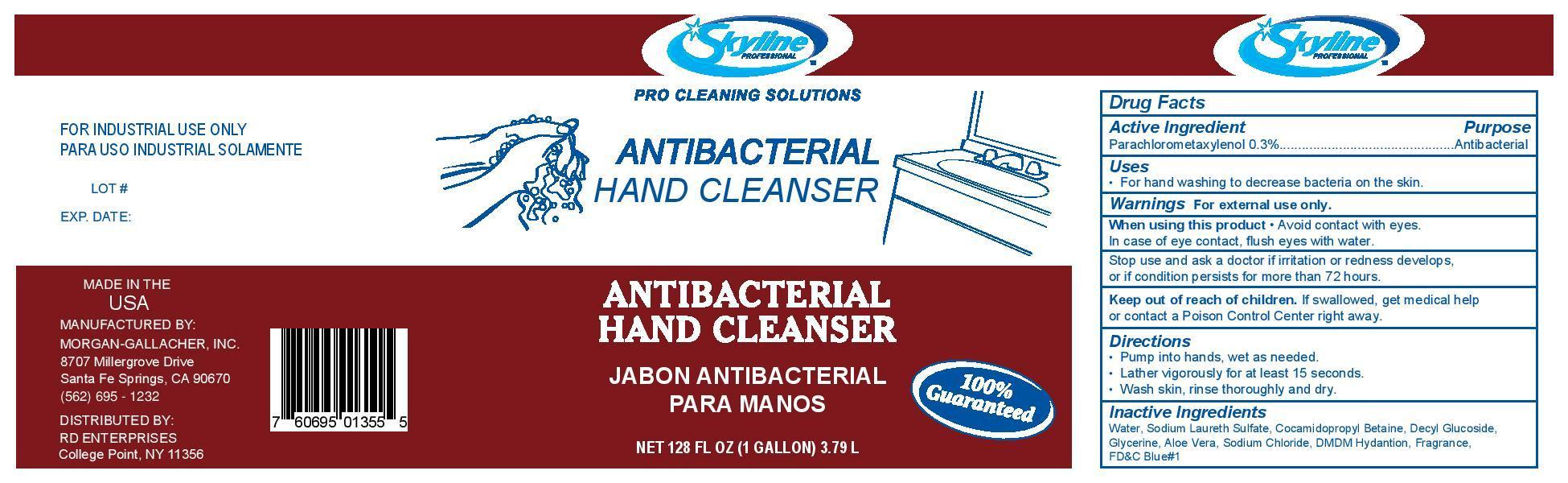 Skyline Antibacterial Hand Cleanser