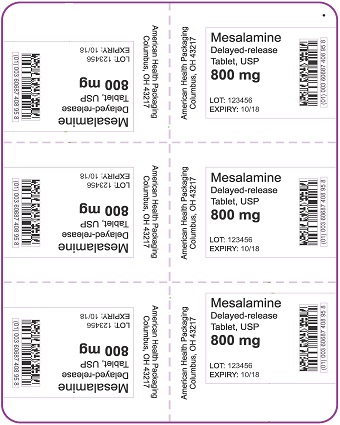 800 mg Mesalamine DR Tablet Blister