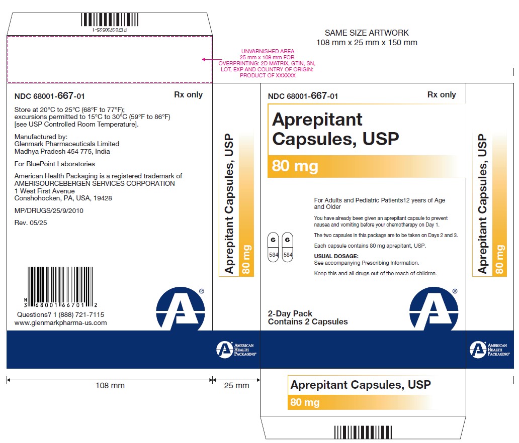 Carton blister card- Aprepitant Capsules USP 80 mg 2s pack