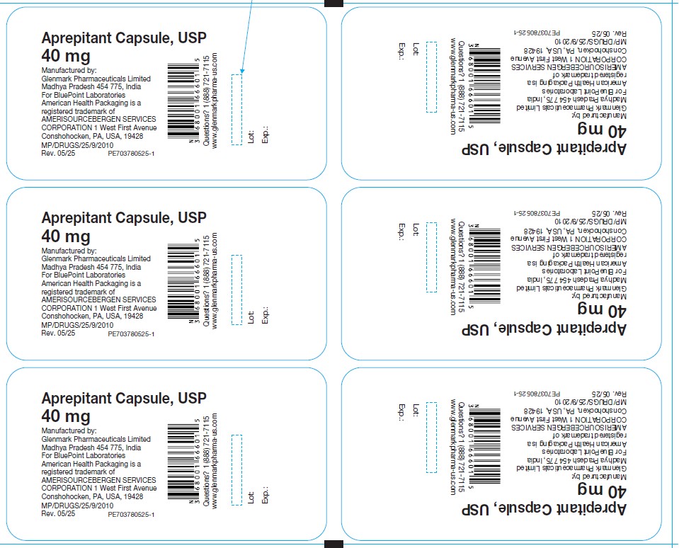 Blister foil - Aprepitant Capsules USP 40mg 1s pack