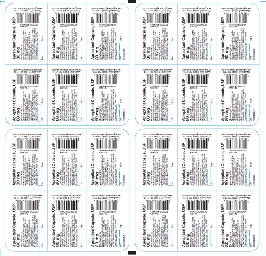 Blister foil - Aprepitant capsules USP 80mg 6s pack