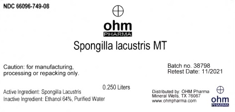 Spongilla lacustris MT