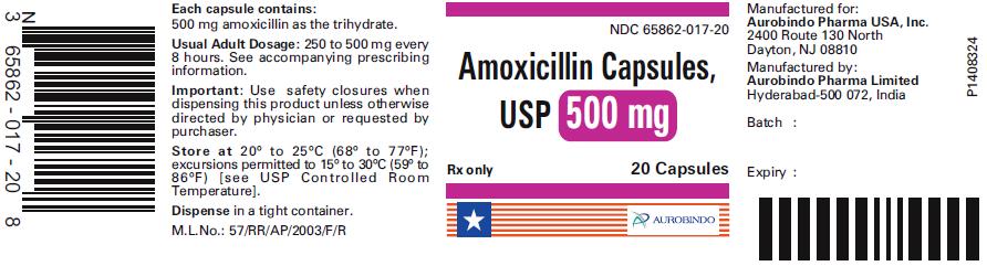 PACKAGE LABEL-PRINCIPAL DISPLAY PANEL - 500 mg (20 Capsule Bottle)