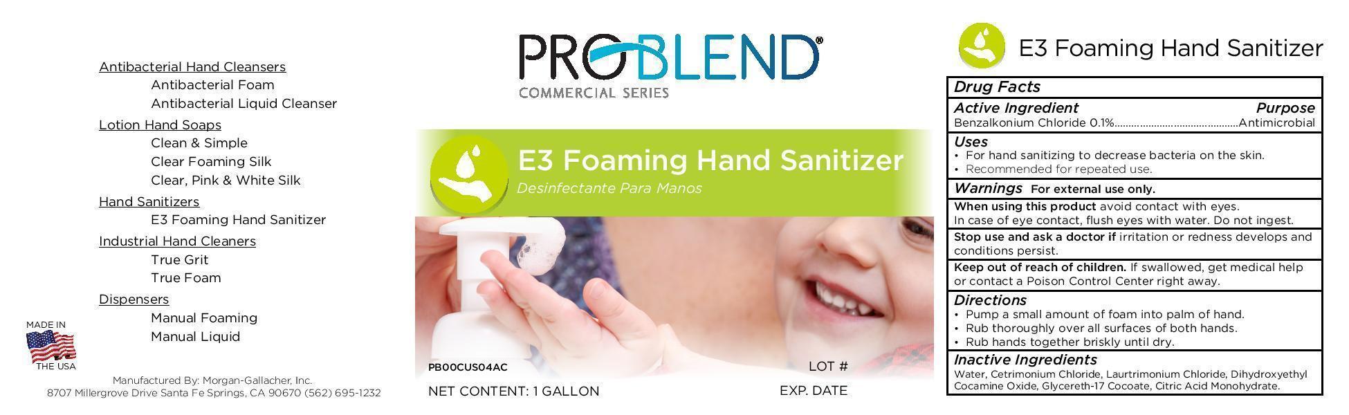 E3 Foaming Hand Sanitizer
