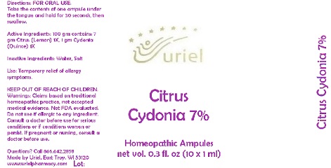 CitrusCydonia7Ampules
