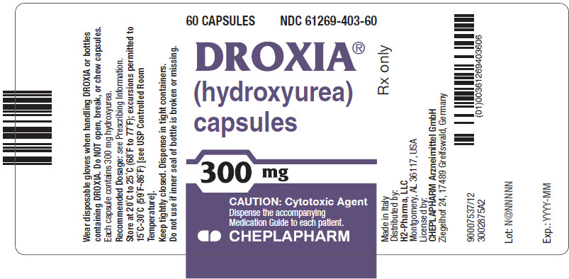 PRINCIPAL DISPLAY PANEL - 300 mg Capsule Bottle Label