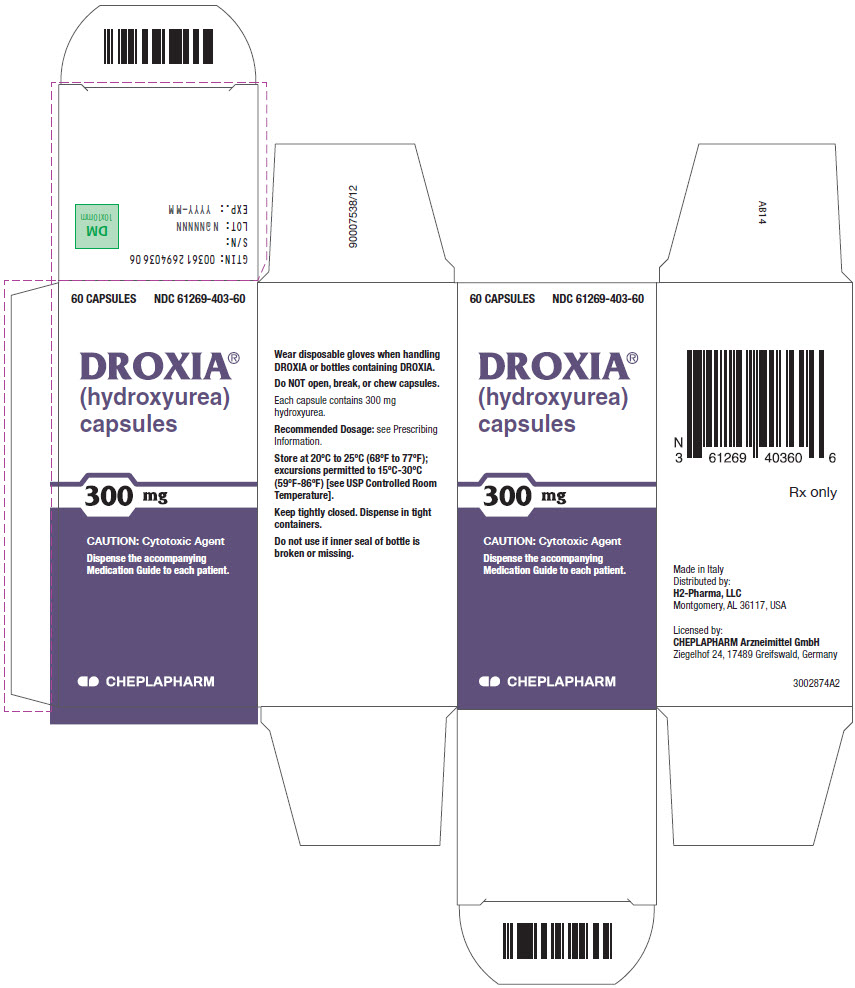 PRINCIPAL DISPLAY PANEL - 300 mg Capsule Bottle Carton