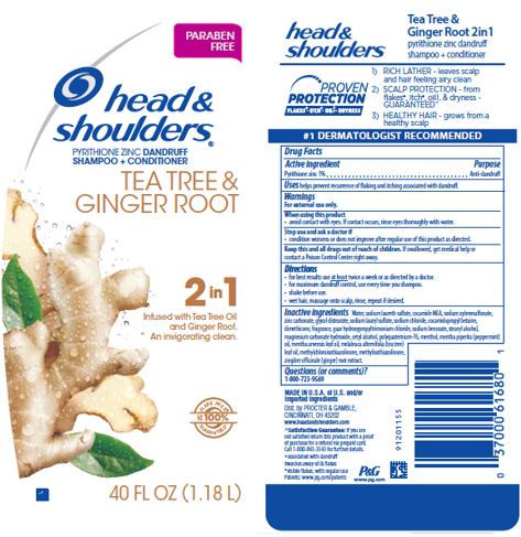 Head and shoulders tea tree 2025 ginger root