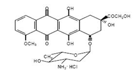 Image from Drug Label Content