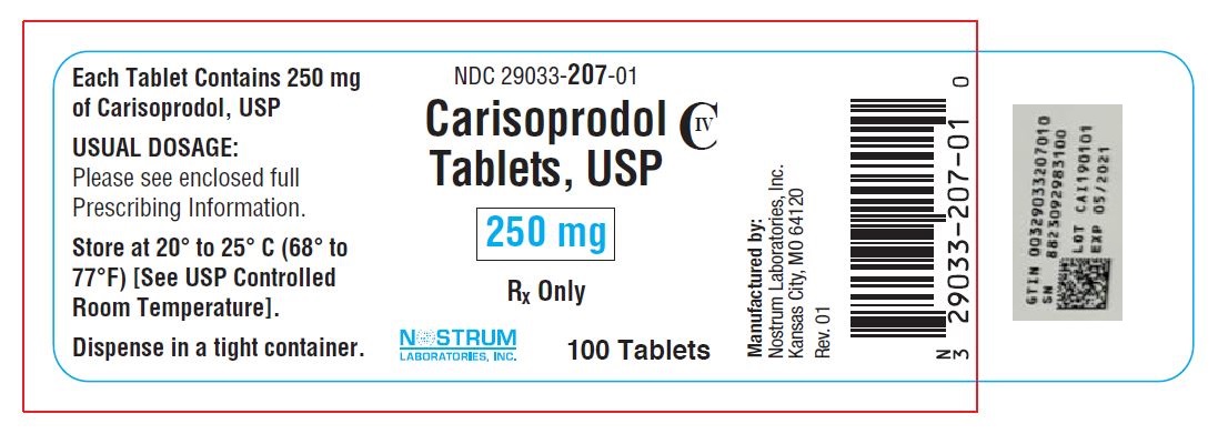 Package Label - Principal Display Panel – 100-count Carton, 250 mg Tablets
