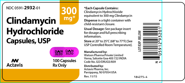 300 mg 100 capsules label