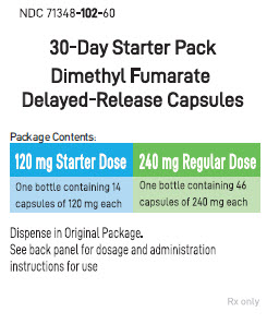 Principal Display Panel - Starter Pack: Box Label
