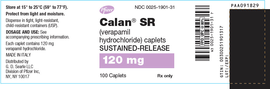 PRINCIPAL DISPLAY PANEL - 120 mg Caplet Bottle Label
