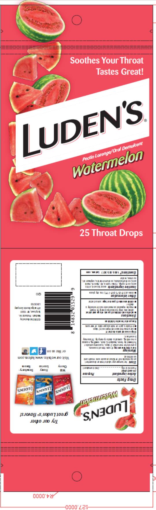 PRINCIPAL DISPLAY PANEL
Luden’s Pectin Lozenge/Oral Demulcent
Watermelon
25 Throat Drops
