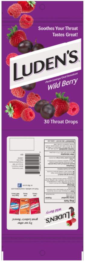 PRINCIPAL DISPLAY PANEL
Luden’s Pectin Lozenge/Oral Demulcent
Wild Berry
30 Drops

