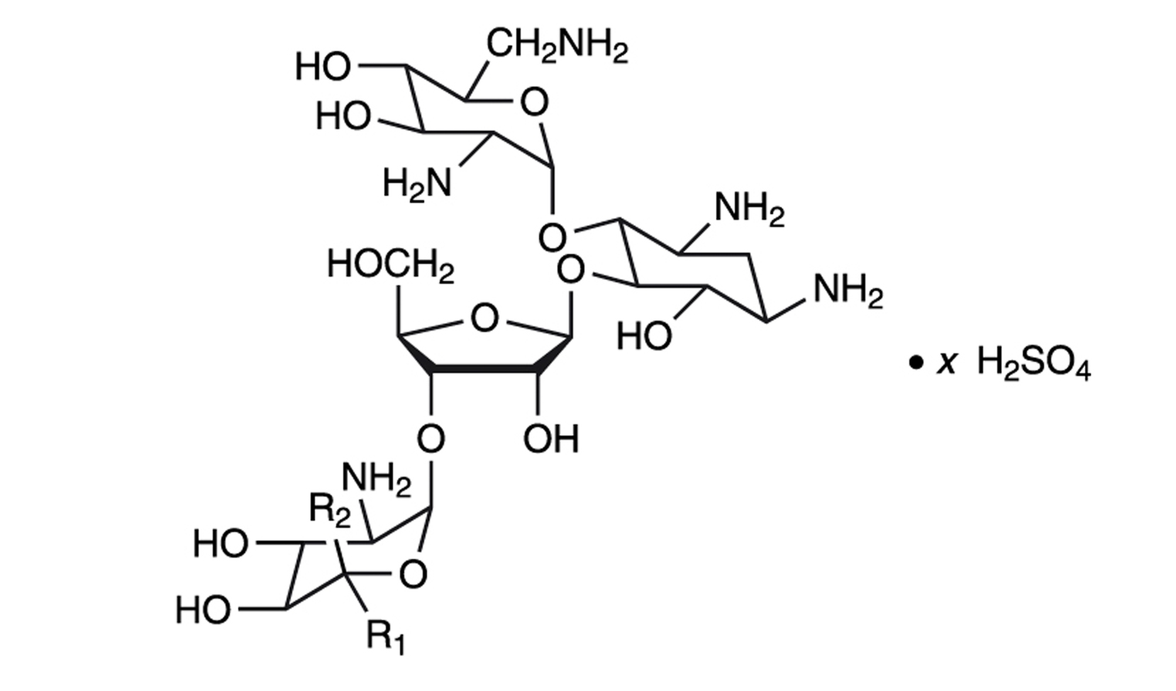 
neomycin
